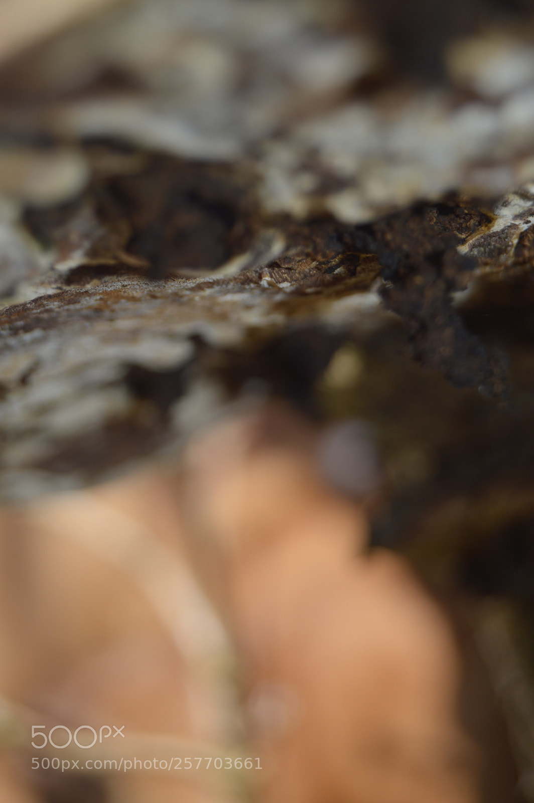 Nikon D3200 sample photo. Dansk natur photography