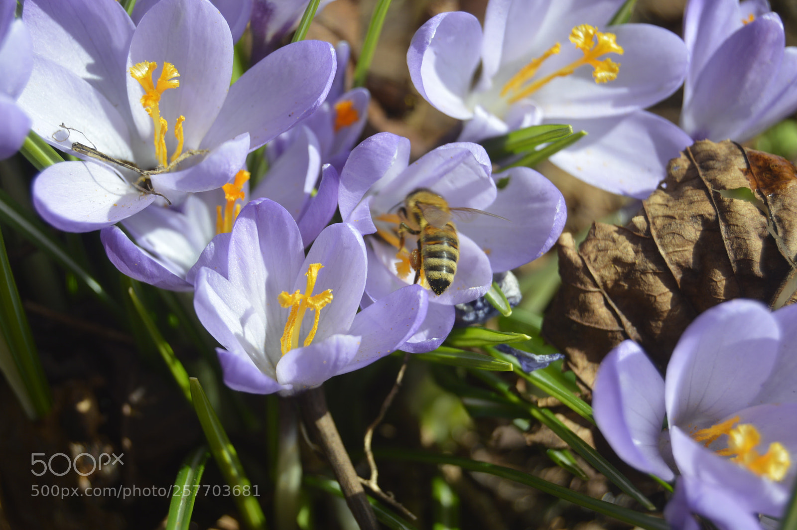 Nikon D3200 sample photo. Dansk natur photography