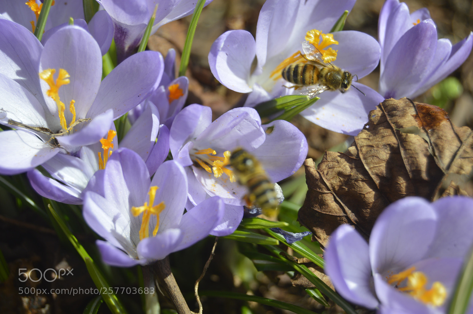 Nikon D3200 sample photo. Dansk natur photography