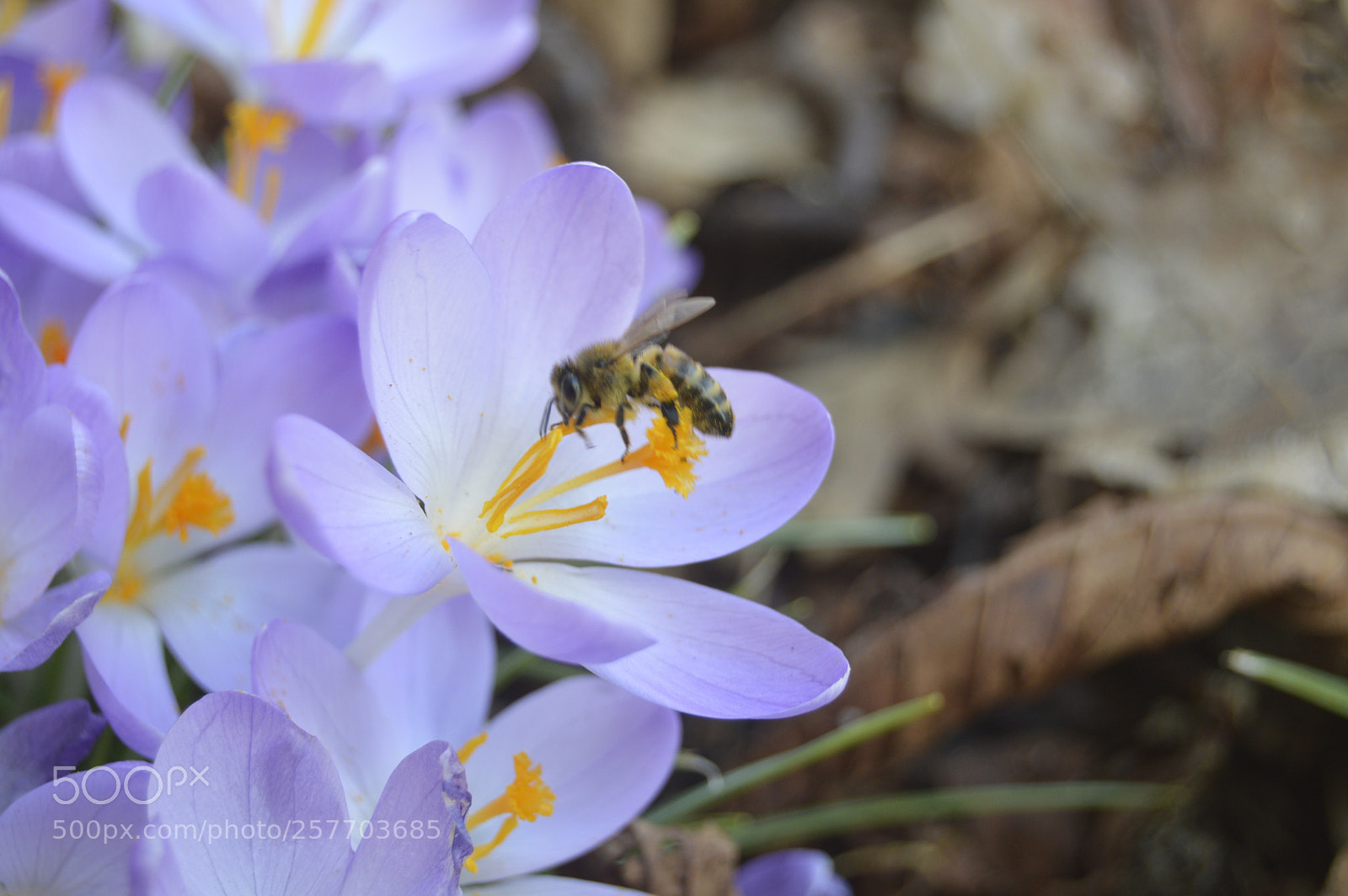 Nikon D3200 sample photo. Dansk natur photography