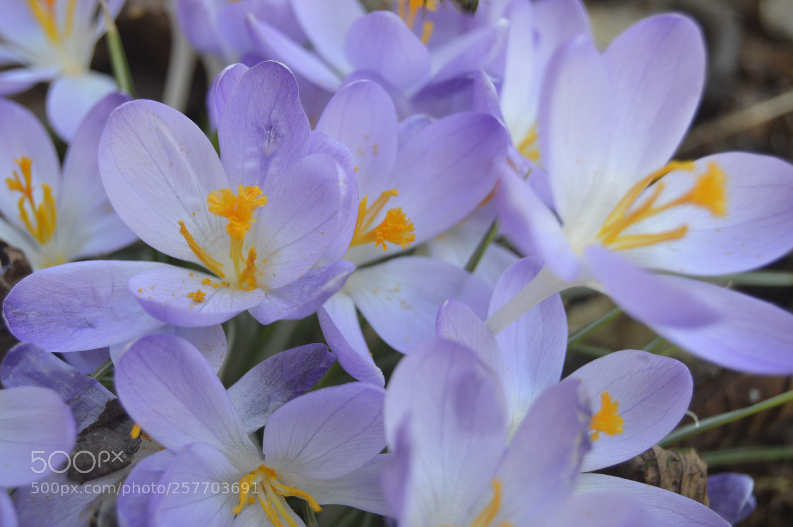 Nikon D3200 sample photo. Dansk natur photography