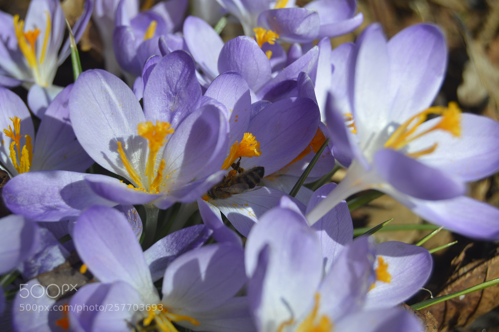 Nikon D3200 sample photo. Dansk natur photography