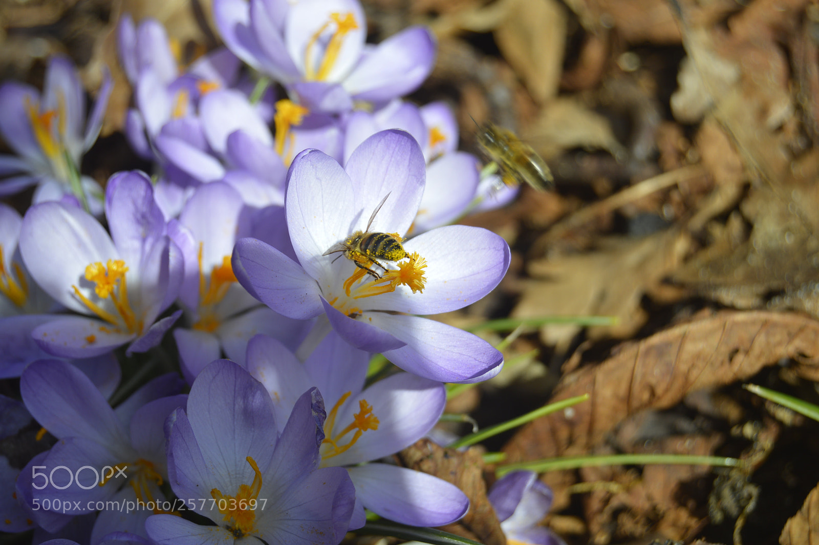 Nikon D3200 sample photo. Dansk natur photography