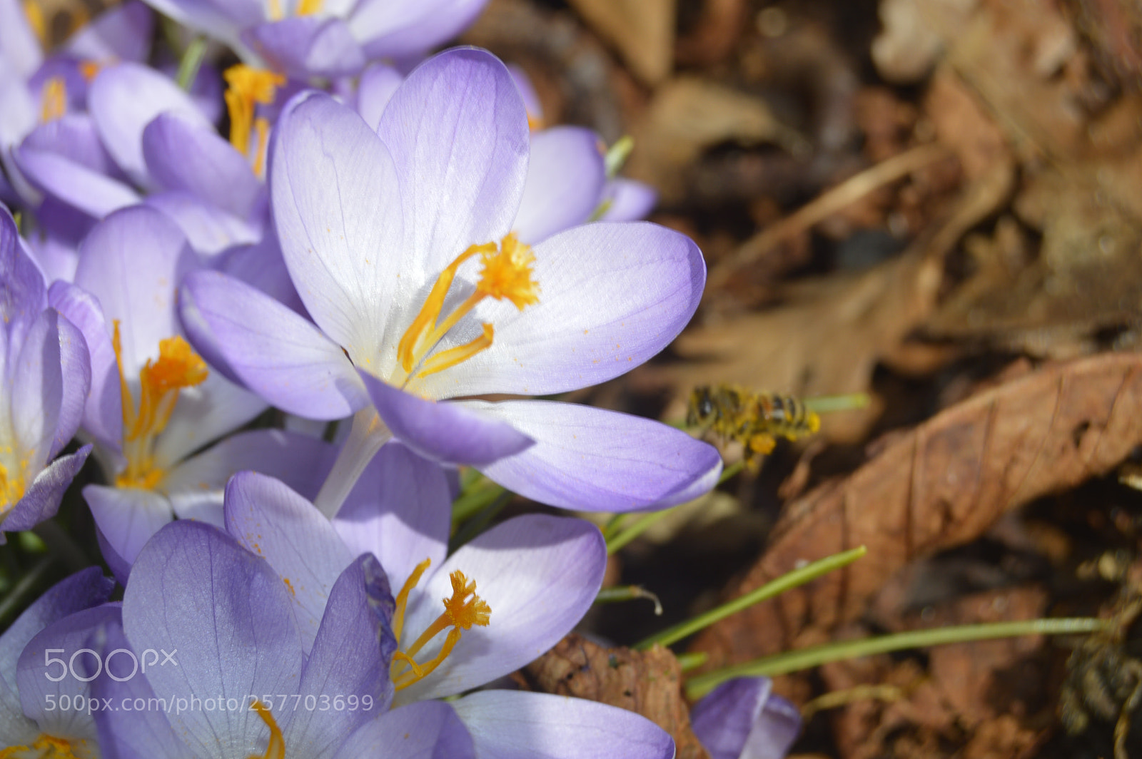 Nikon D3200 sample photo. Dansk natur photography