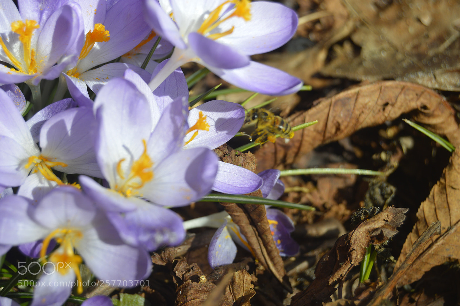 Nikon D3200 sample photo. Dansk natur photography