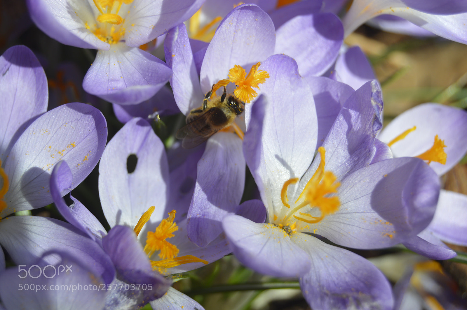 Nikon D3200 sample photo. Dansk natur photography