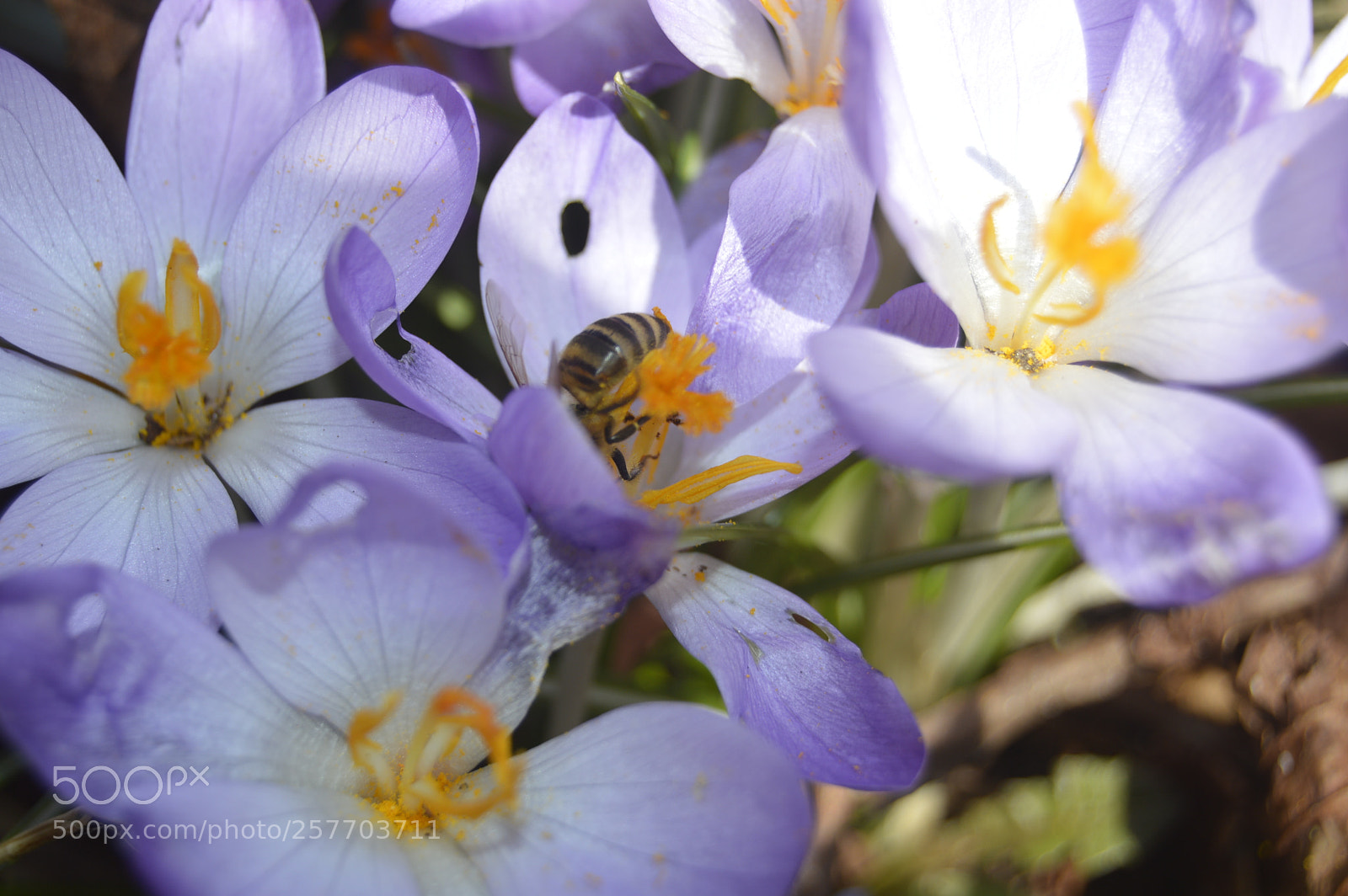 Nikon D3200 sample photo. Dansk natur photography