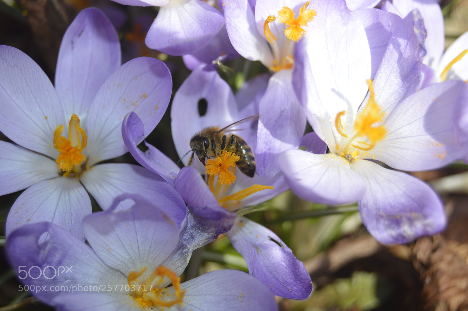 Nikon D3200 sample photo. Dansk natur photography