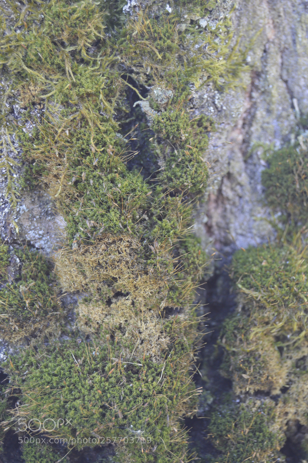 Nikon D3200 sample photo. Dansk natur photography