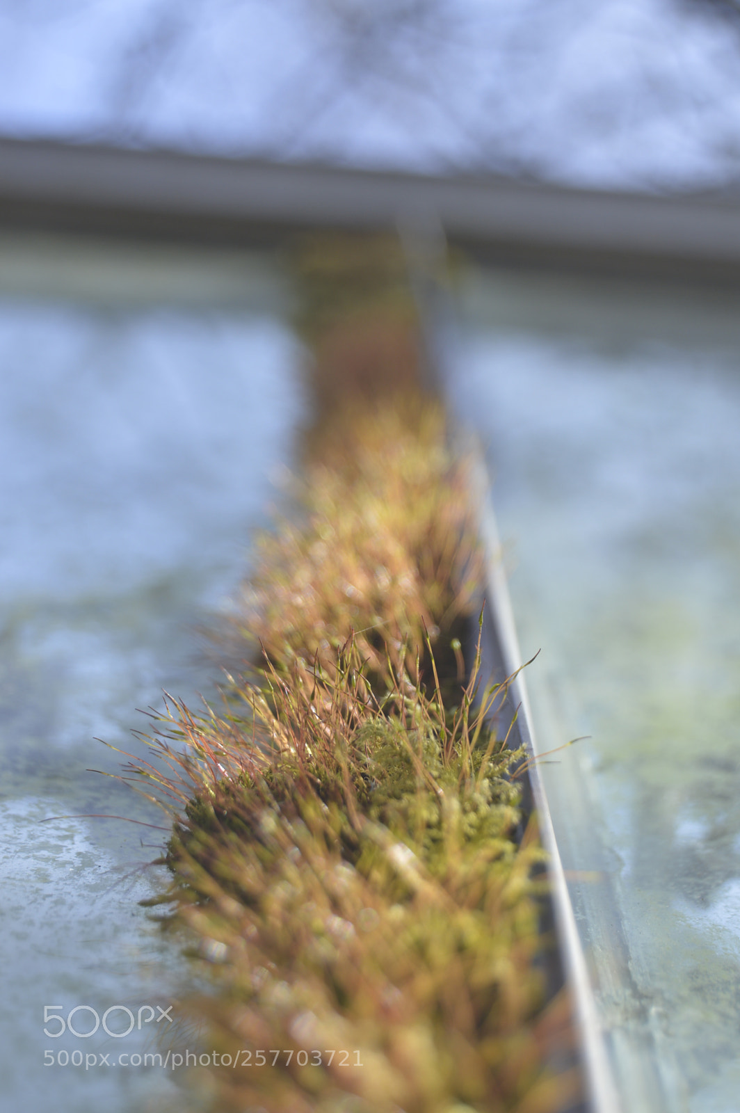 Nikon D3200 sample photo. Dansk natur photography