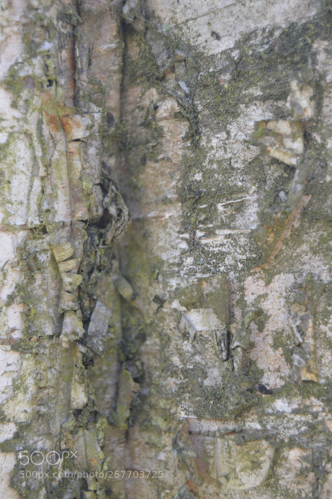 Nikon D3200 sample photo. Dansk natur photography