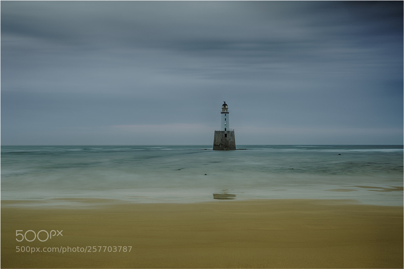 Canon EOS-1D X Mark II sample photo. Rattry head colour photography