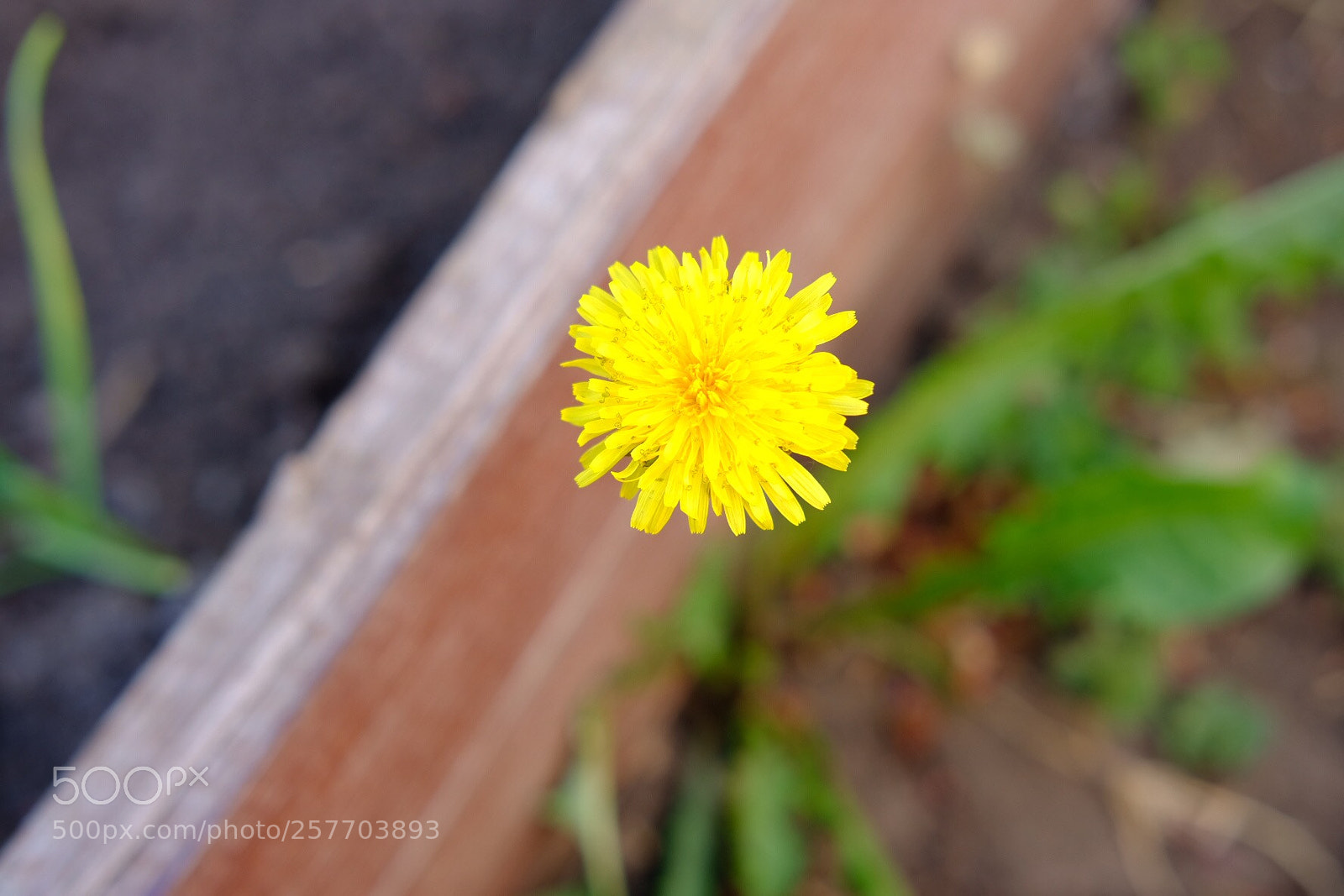 Fujifilm X-T20 sample photo. Untitled photography