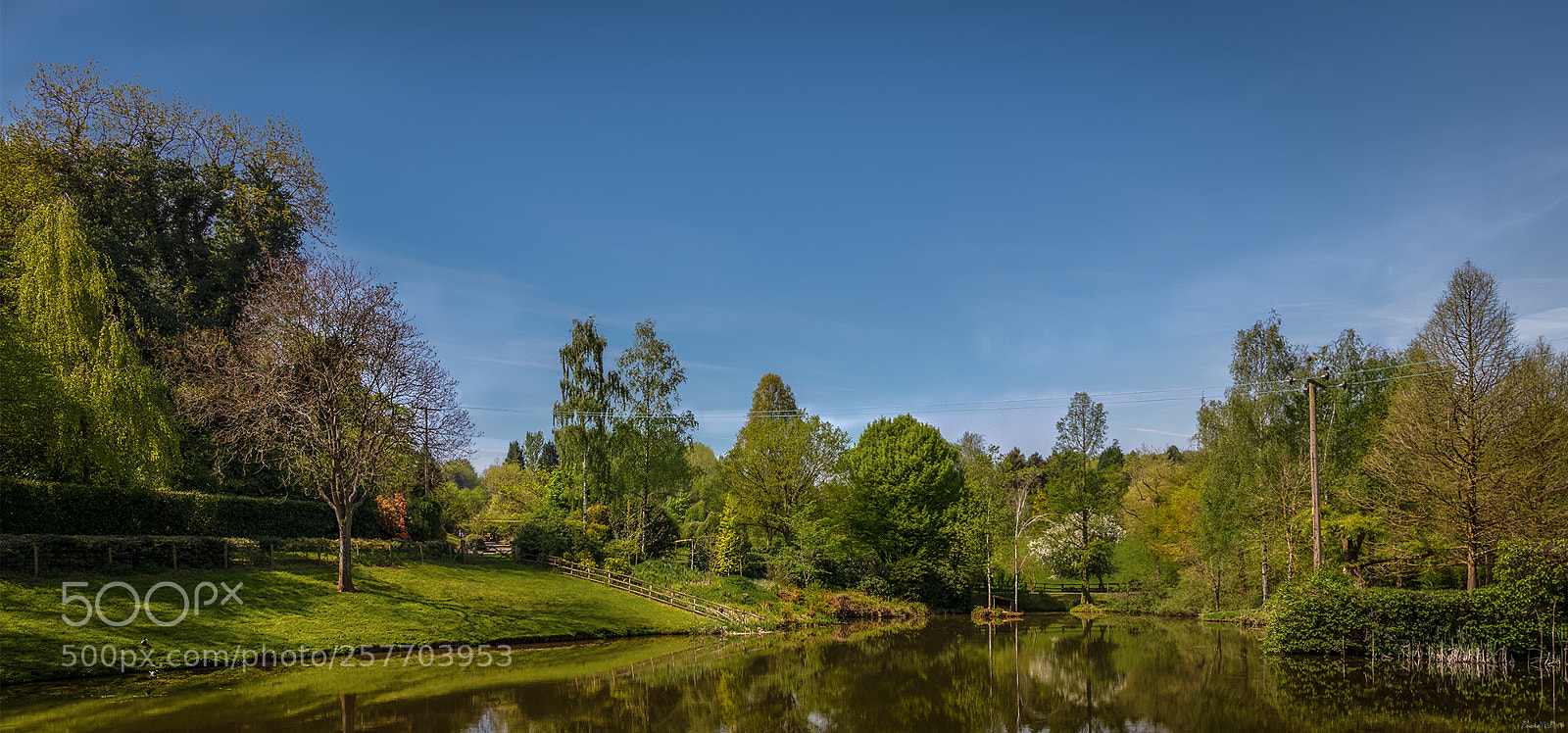 Nikon D850 sample photo. Bodenham arboretum ii. photography