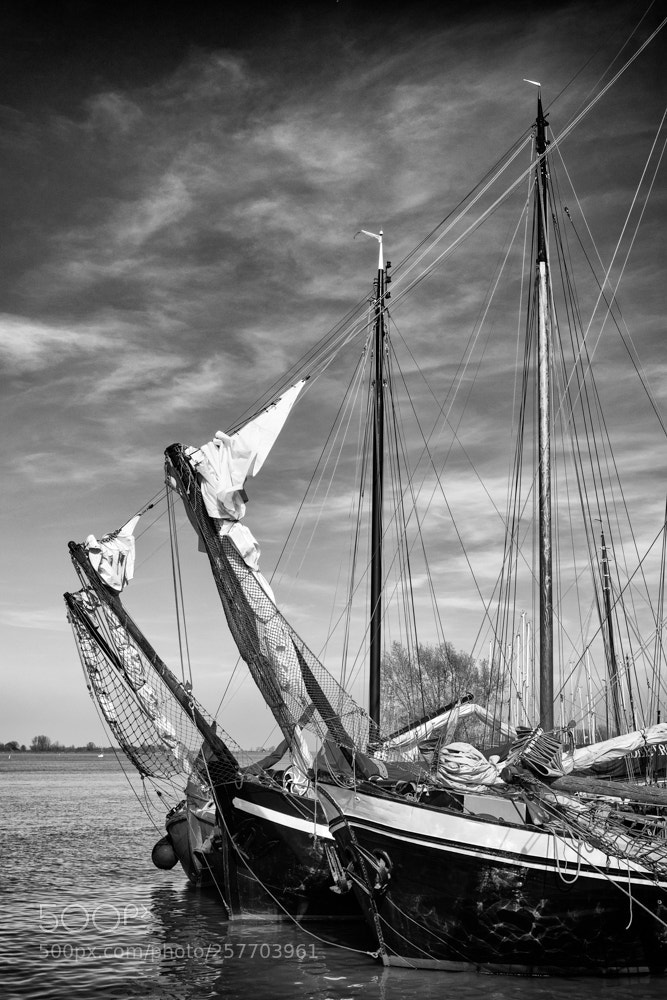 Nikon D810 sample photo. A quai photography