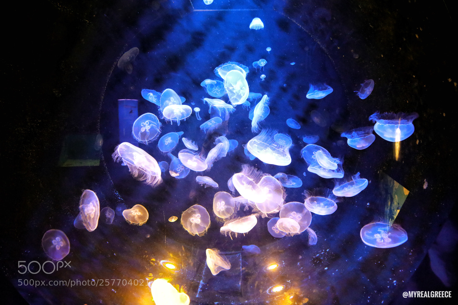 Canon EOS 5D Mark IV sample photo. Medusa planet system photography