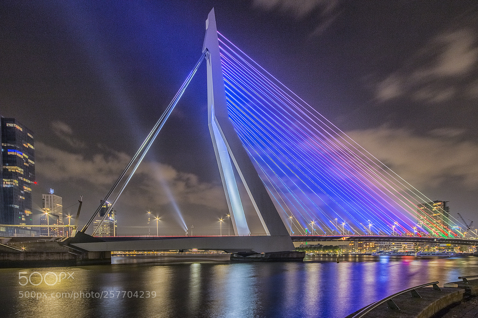 Canon EOS 70D sample photo. Erasmusbridge rotterdam photography