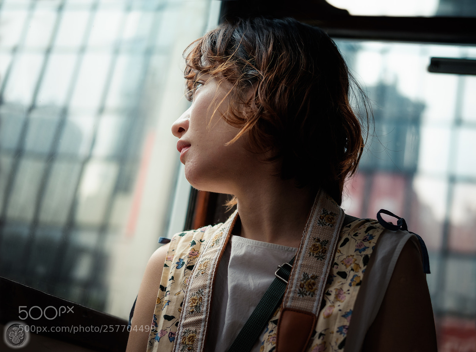 Fujifilm X-Pro2 sample photo. ...girl in tram... photography