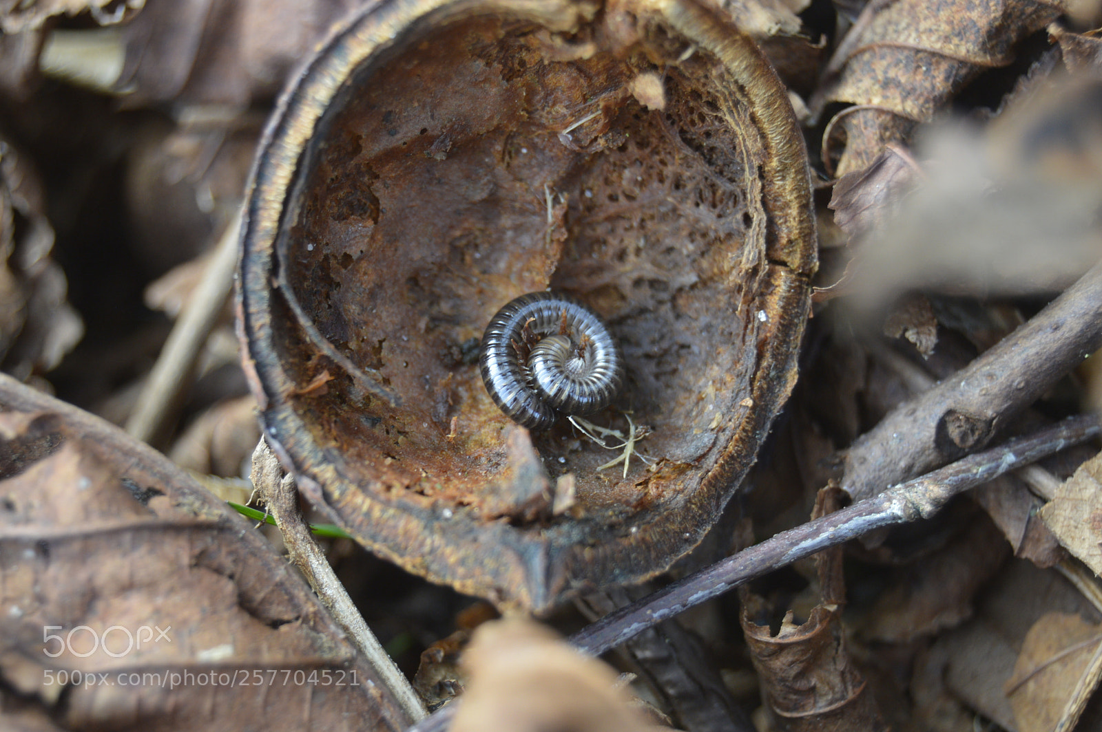 Nikon D3200 sample photo. Dansk natur photography