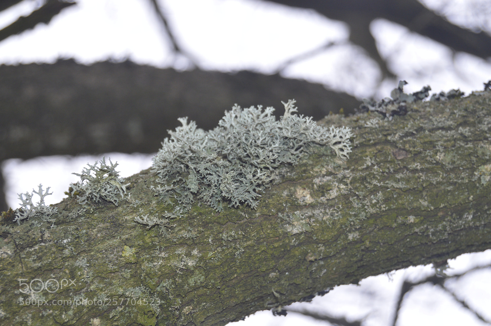 Nikon D3200 sample photo. Dansk natur photography