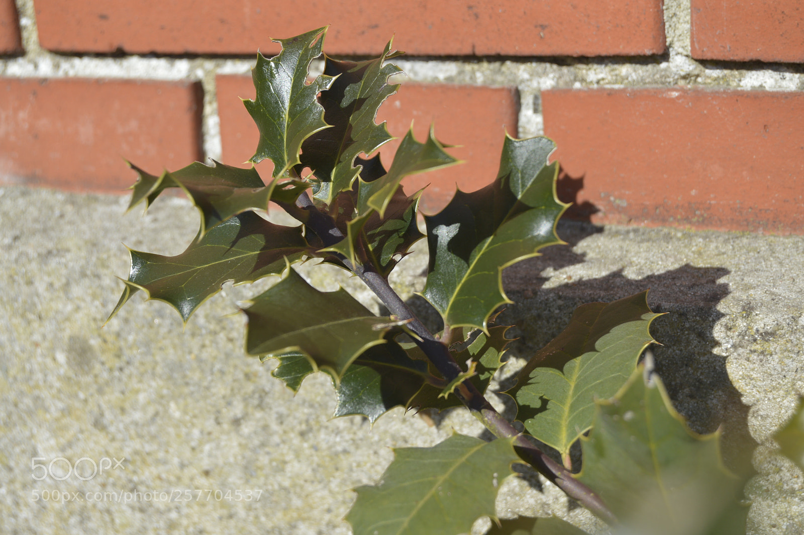 Nikon D3200 sample photo. Dansk natur photography