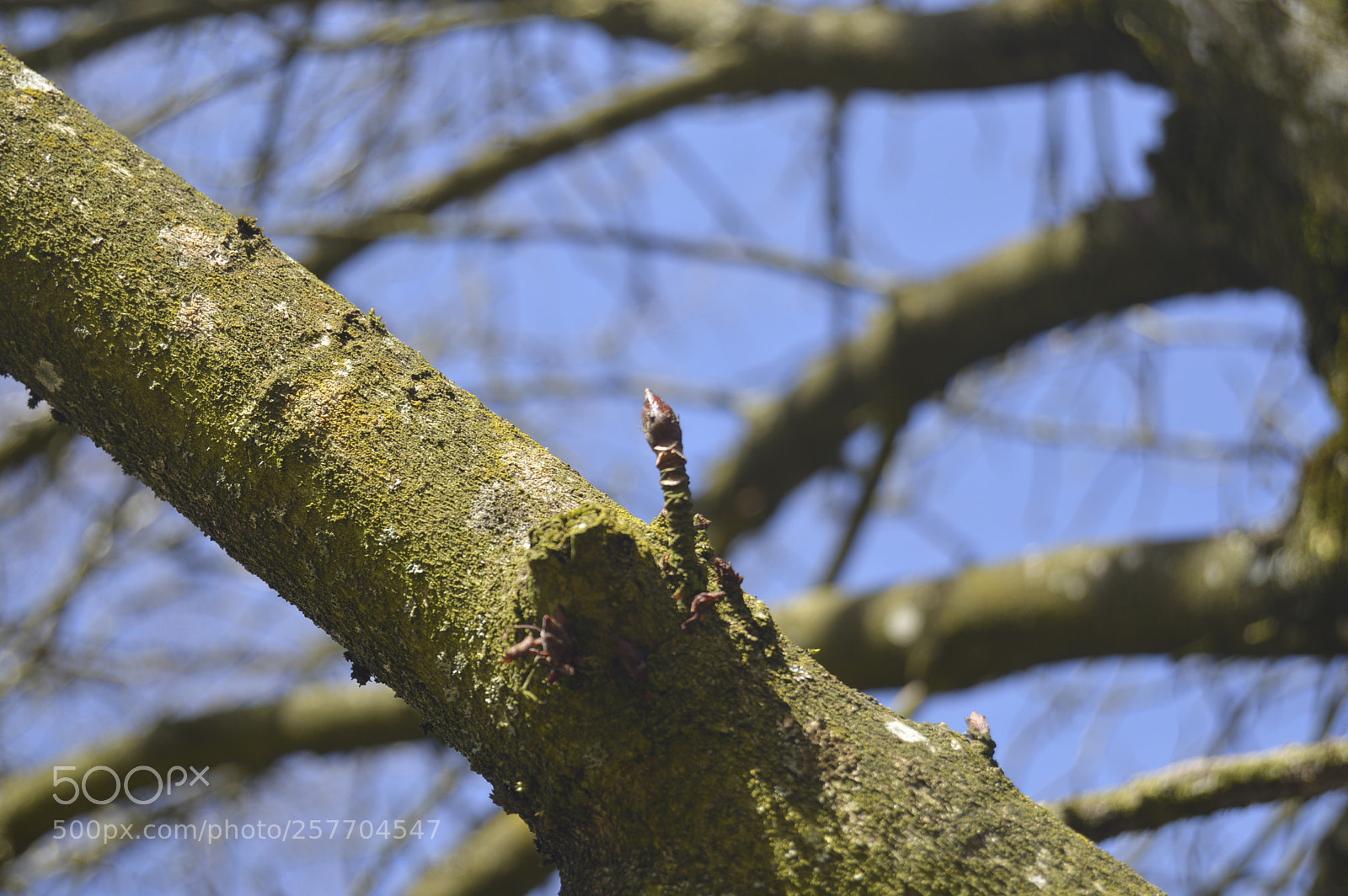 Nikon D3200 sample photo. Dansk natur photography