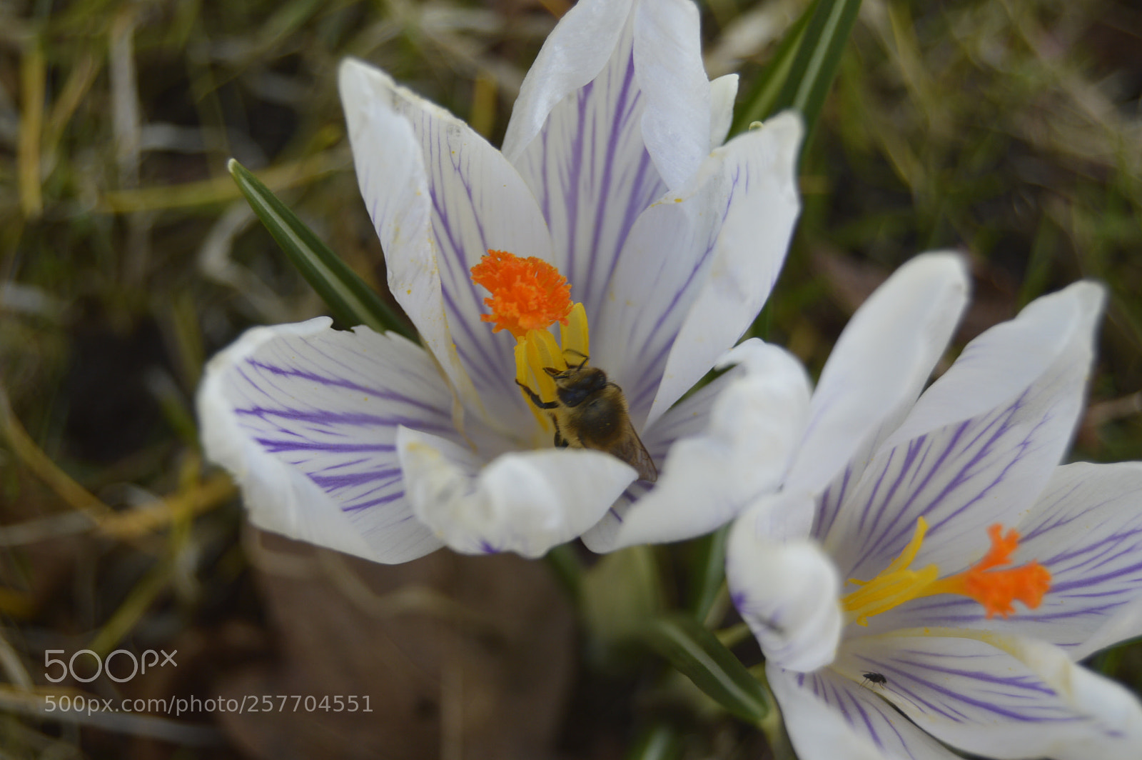 Nikon D3200 sample photo. Dansk natur photography