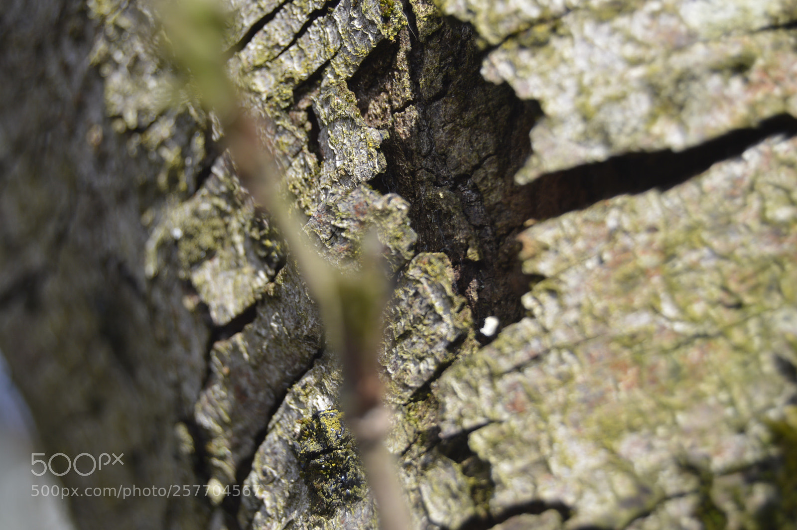 Nikon D3200 sample photo. Dansk natur photography
