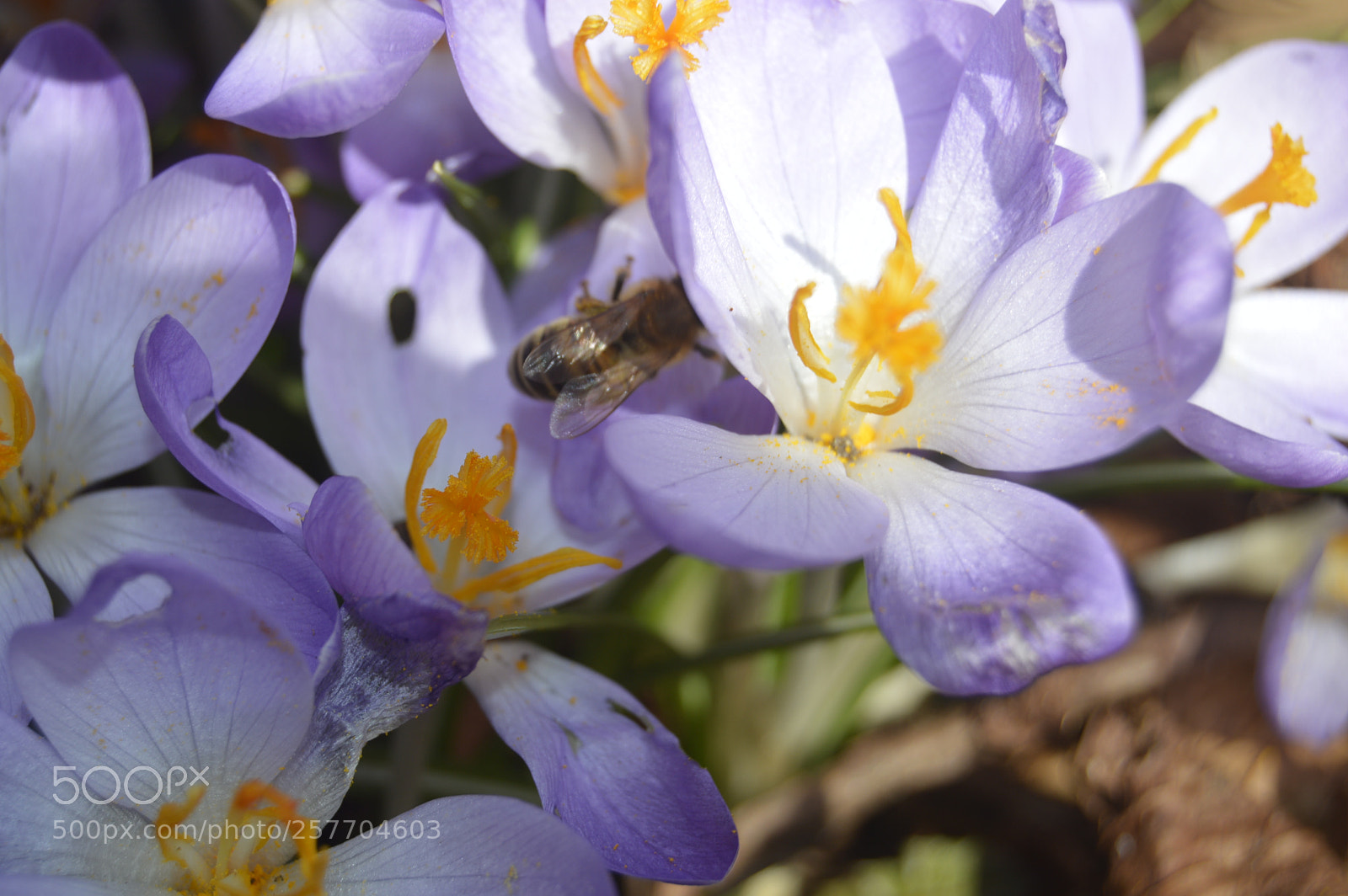 Nikon D3200 sample photo. Dansk natur photography