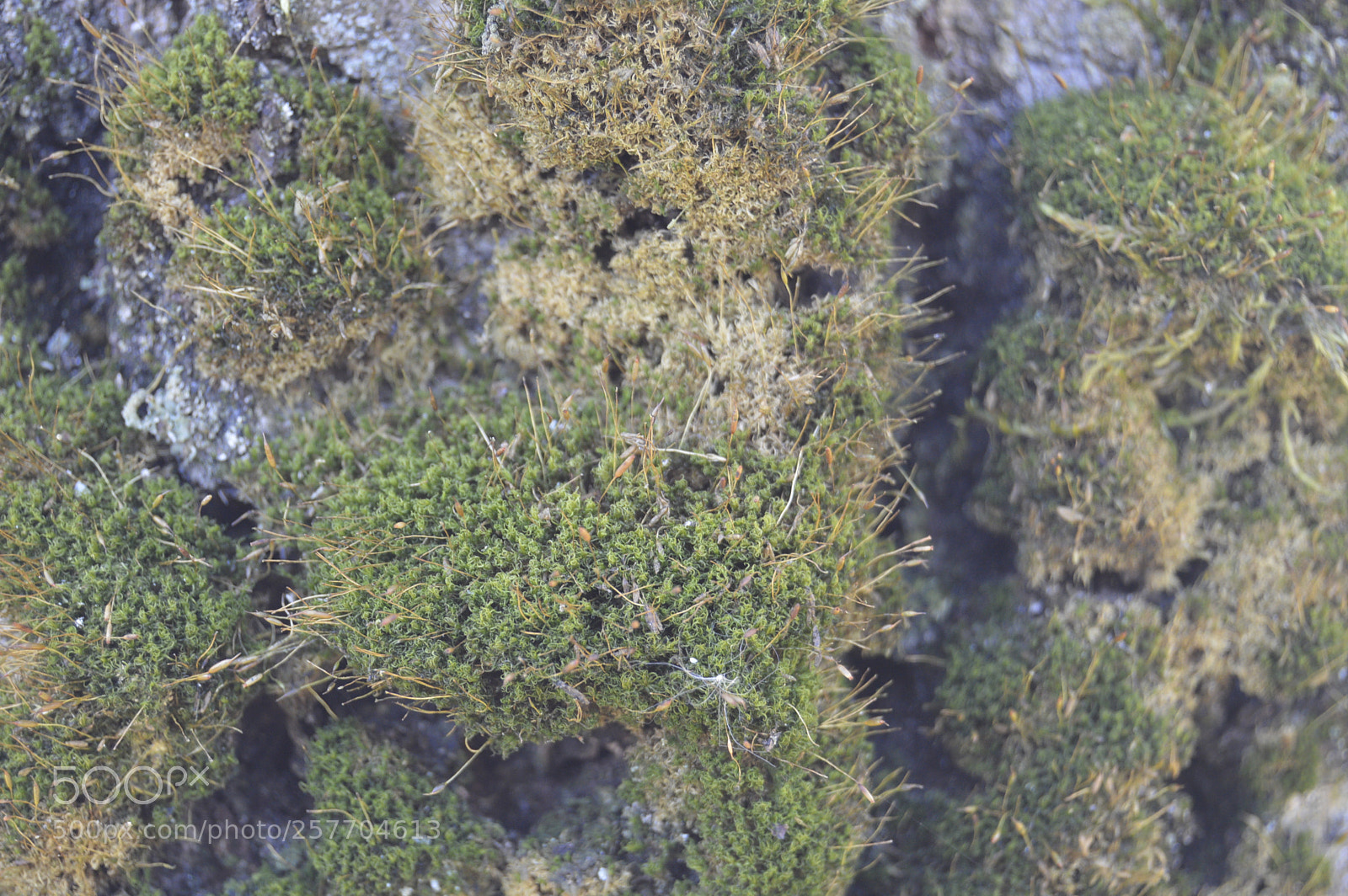 Nikon D3200 sample photo. Dansk natur photography