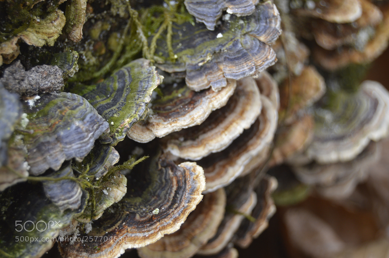 Nikon D3200 sample photo. Dansk natur photography
