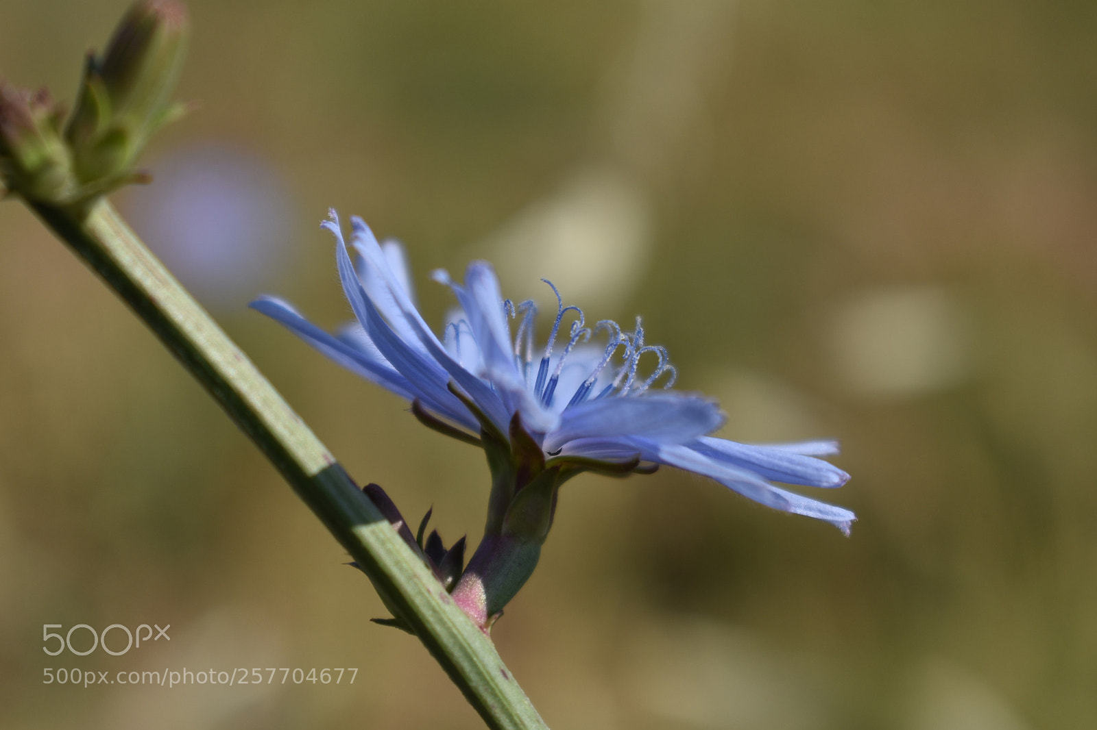 Nikon D3400 sample photo. 5 photography