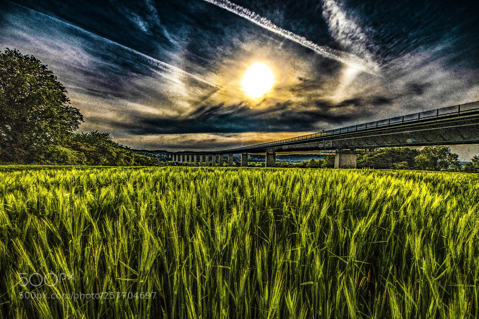 Nikon D500 sample photo. The bridge photography