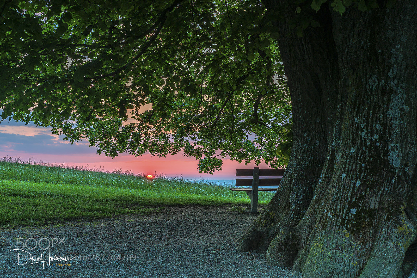 Sony a7R II sample photo. Lindenbaum photography