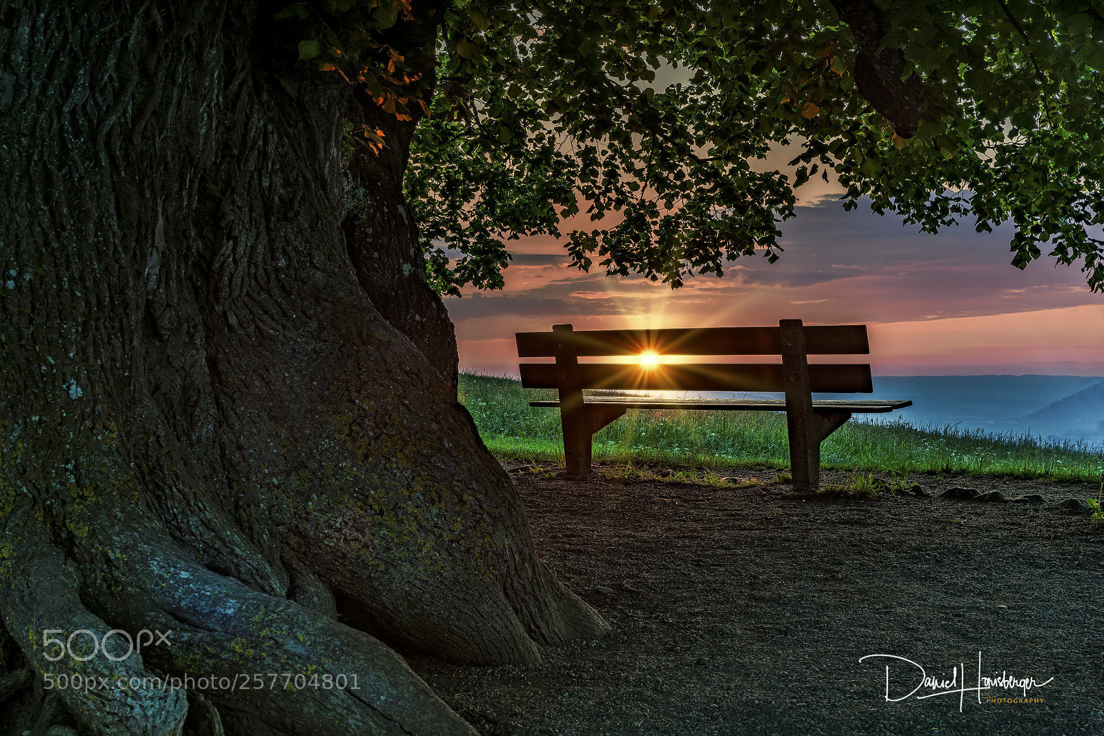 Sony a7R II sample photo. Lindenbaum photography