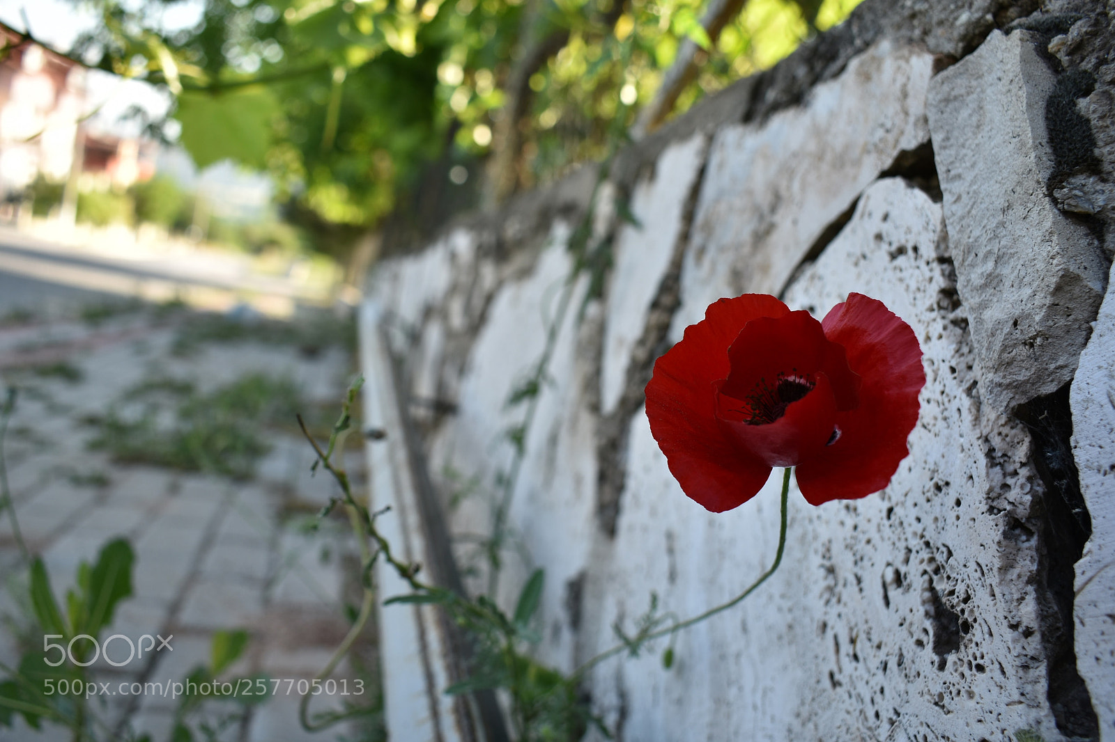 Nikon D3400 sample photo. 6 photography