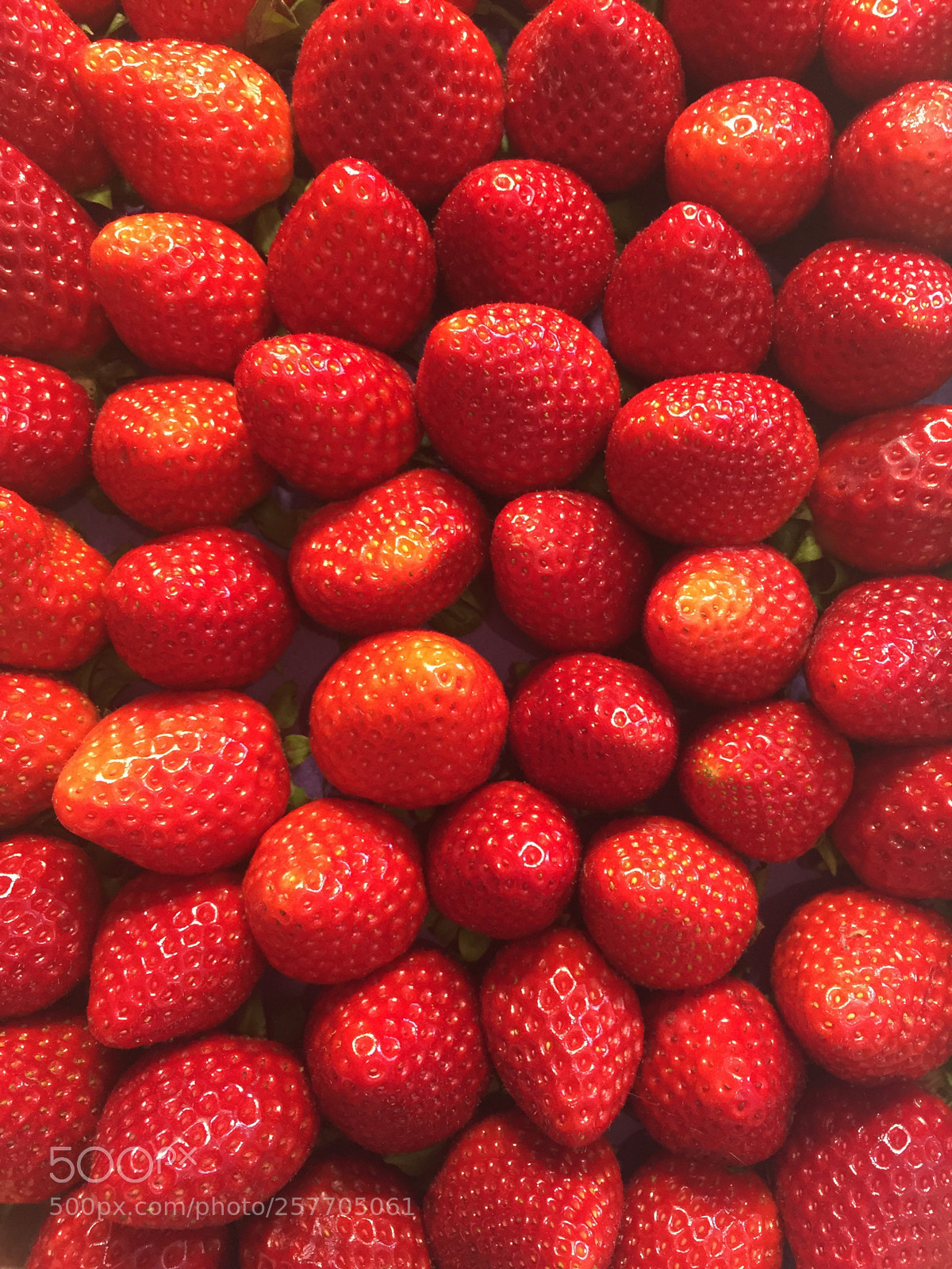 Apple iPhone 6 sample photo. Untitled photography