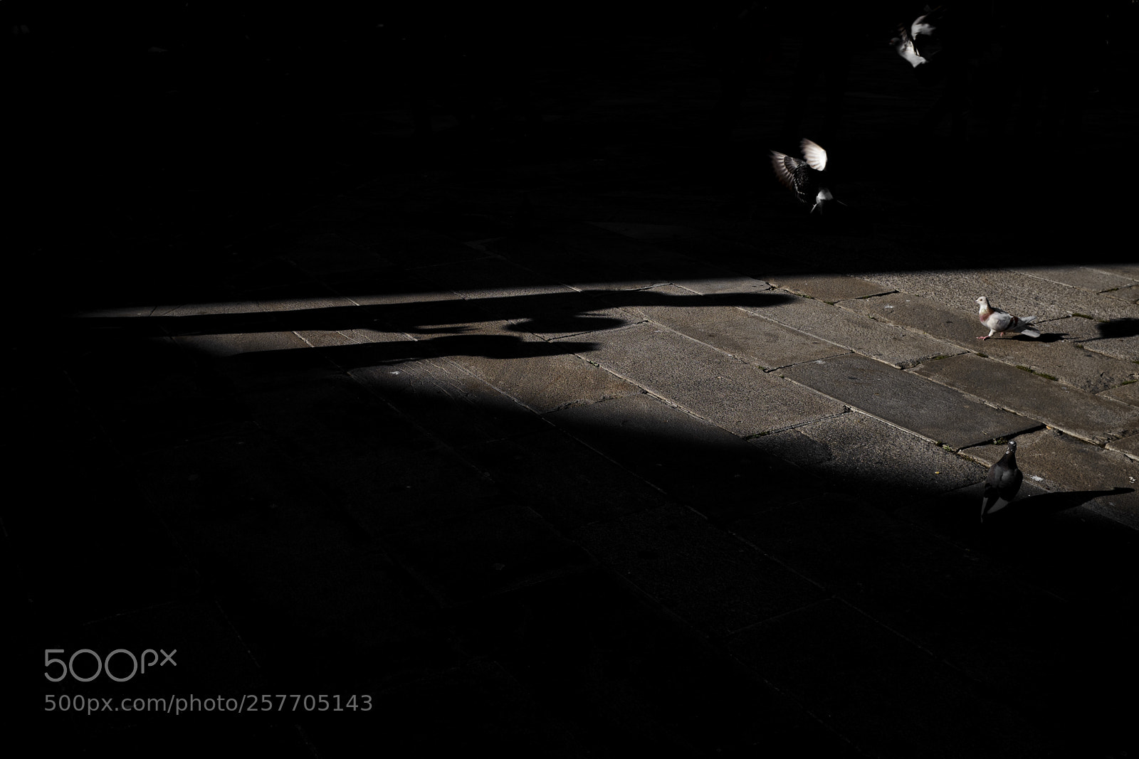 Fujifilm X100F sample photo. Shadows photography