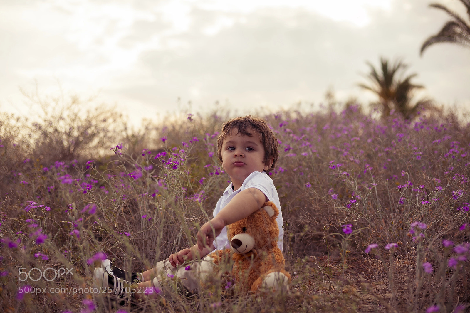Canon EOS 5D sample photo. Untitled photography