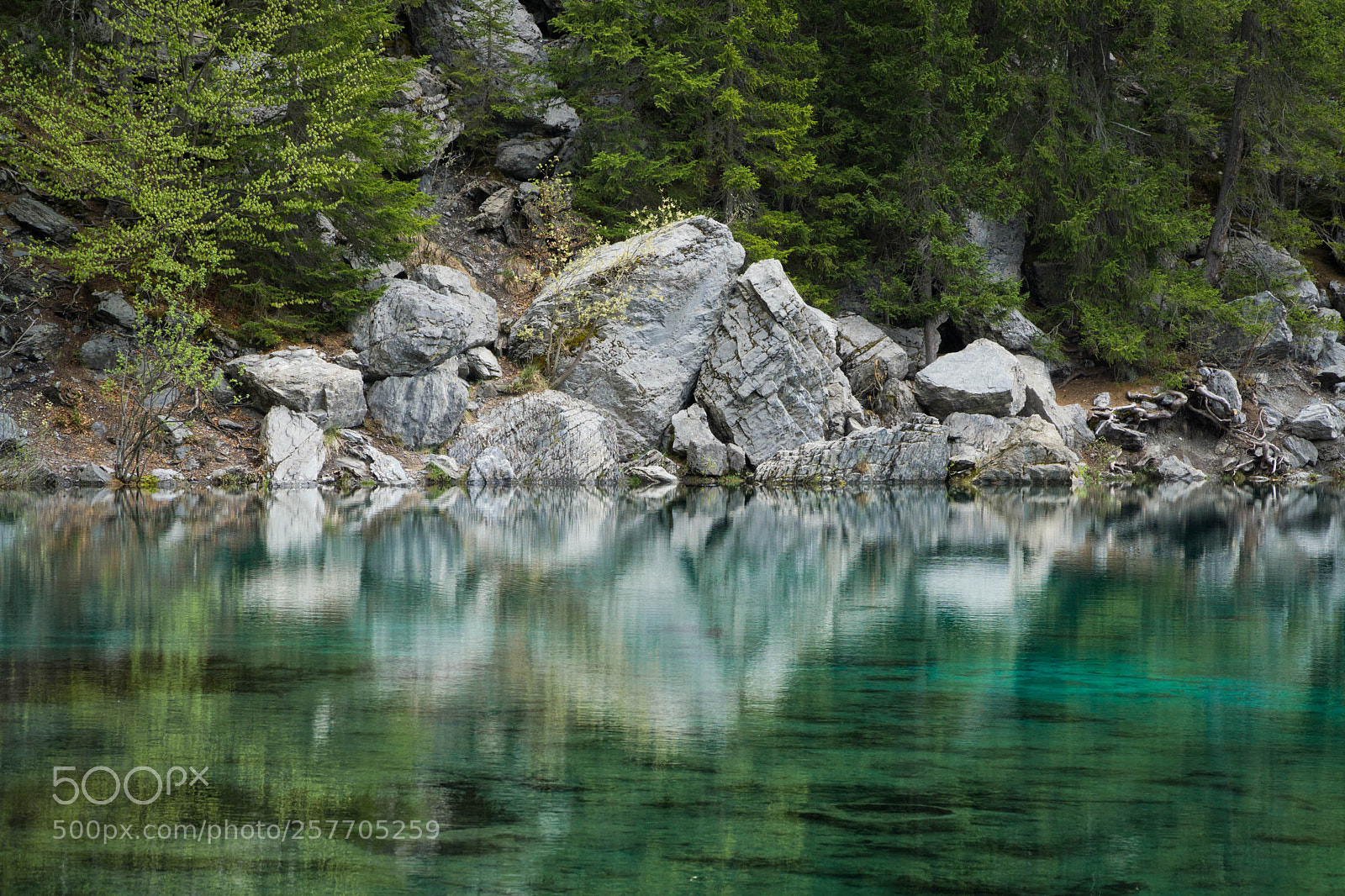 Sony a5100 sample photo. The green lake photography