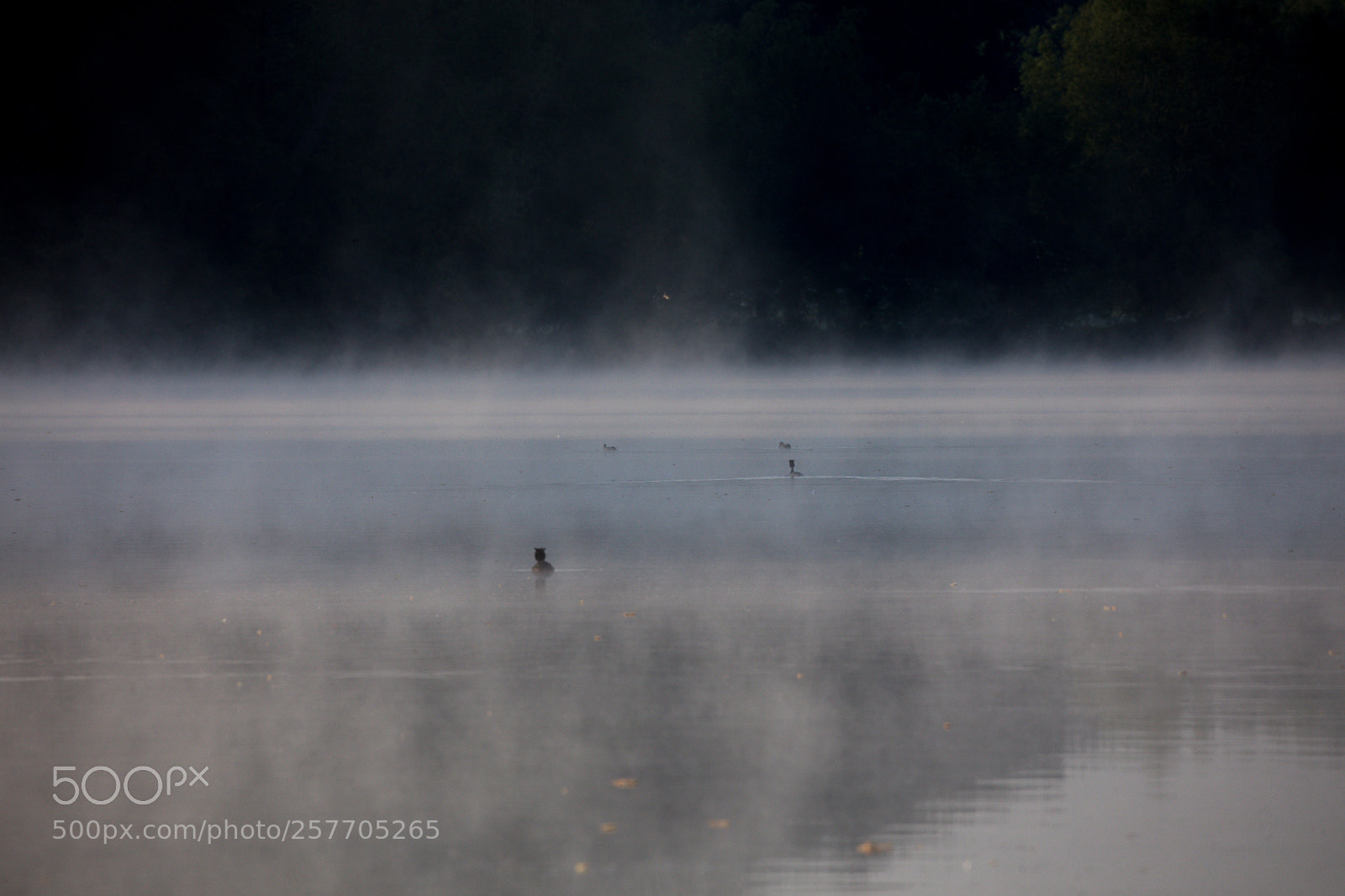 Canon EOS 5D Mark IV sample photo. Fishing in the morning photography