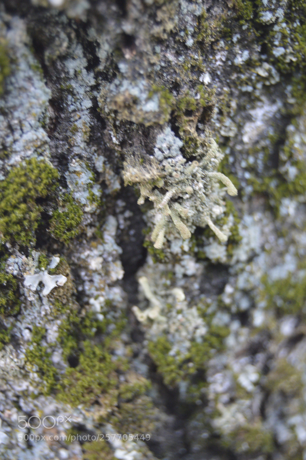 Nikon D3200 sample photo. Dansk netur photography