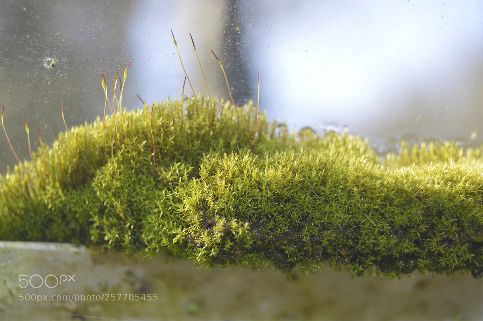 Nikon D3200 sample photo. Dansk netur photography