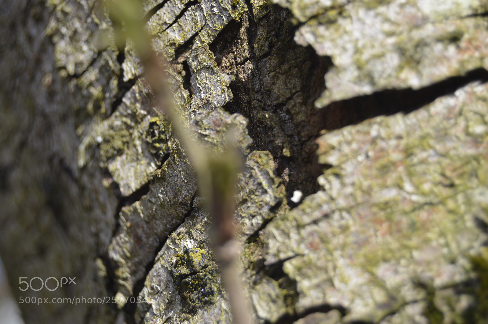 Nikon D3200 sample photo. Dansk netur photography