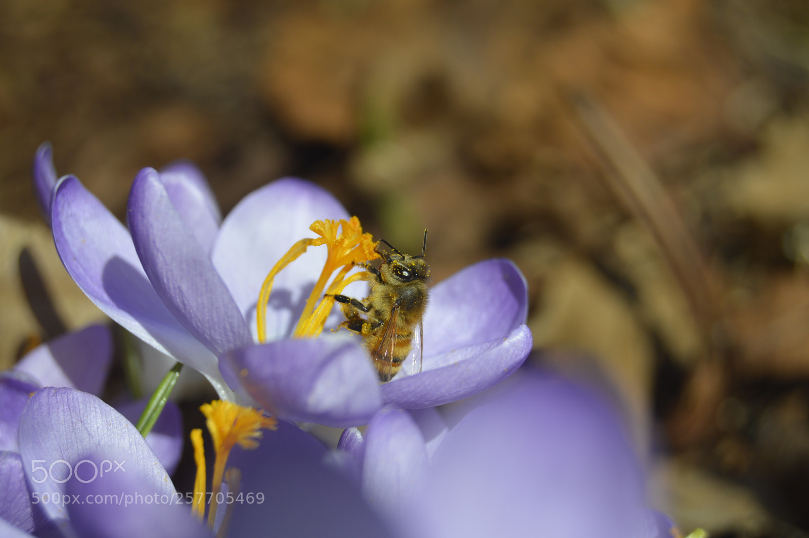Nikon D3200 sample photo. Dansk netur photography