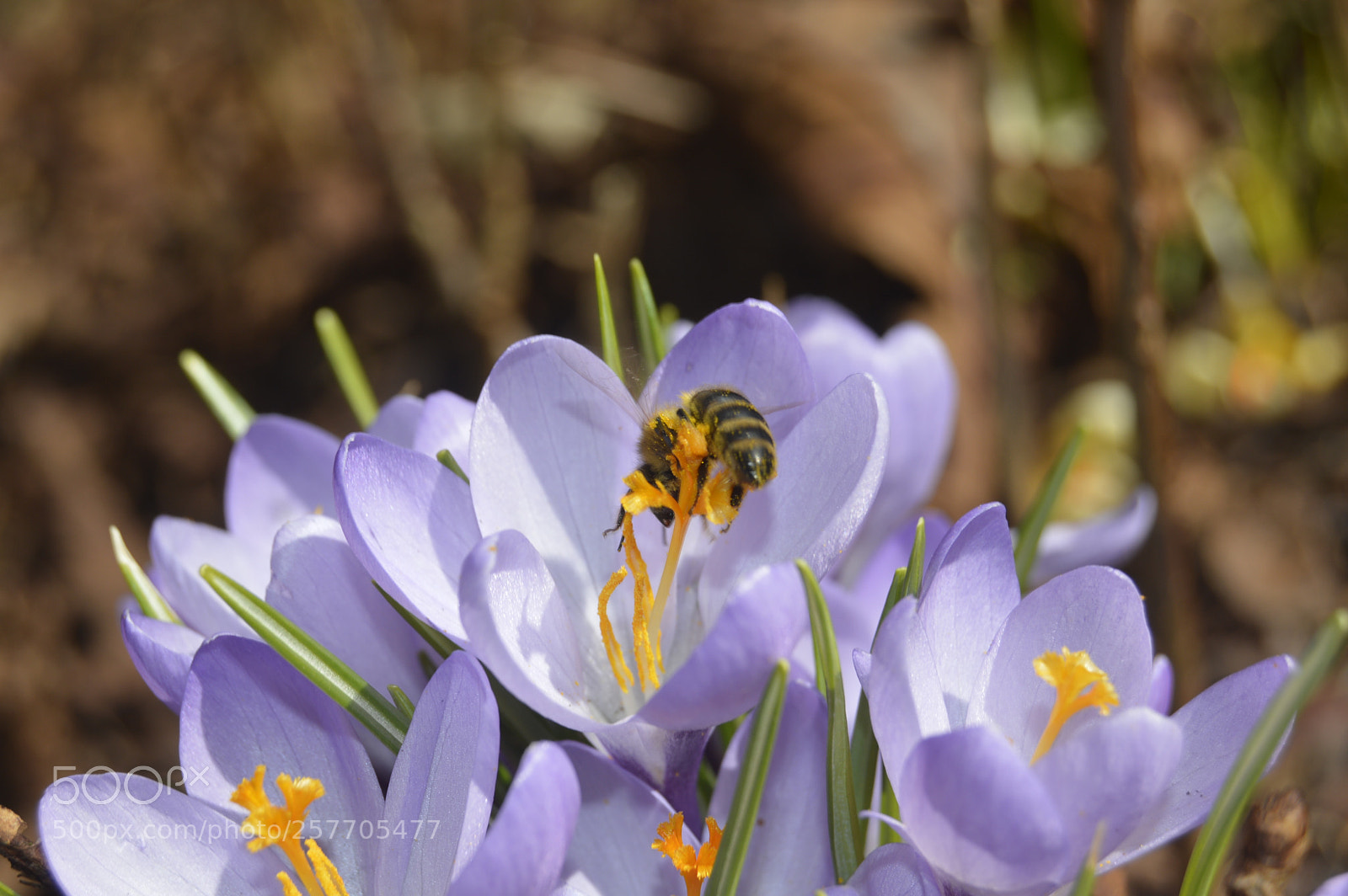 Nikon D3200 sample photo. Dansk netur photography