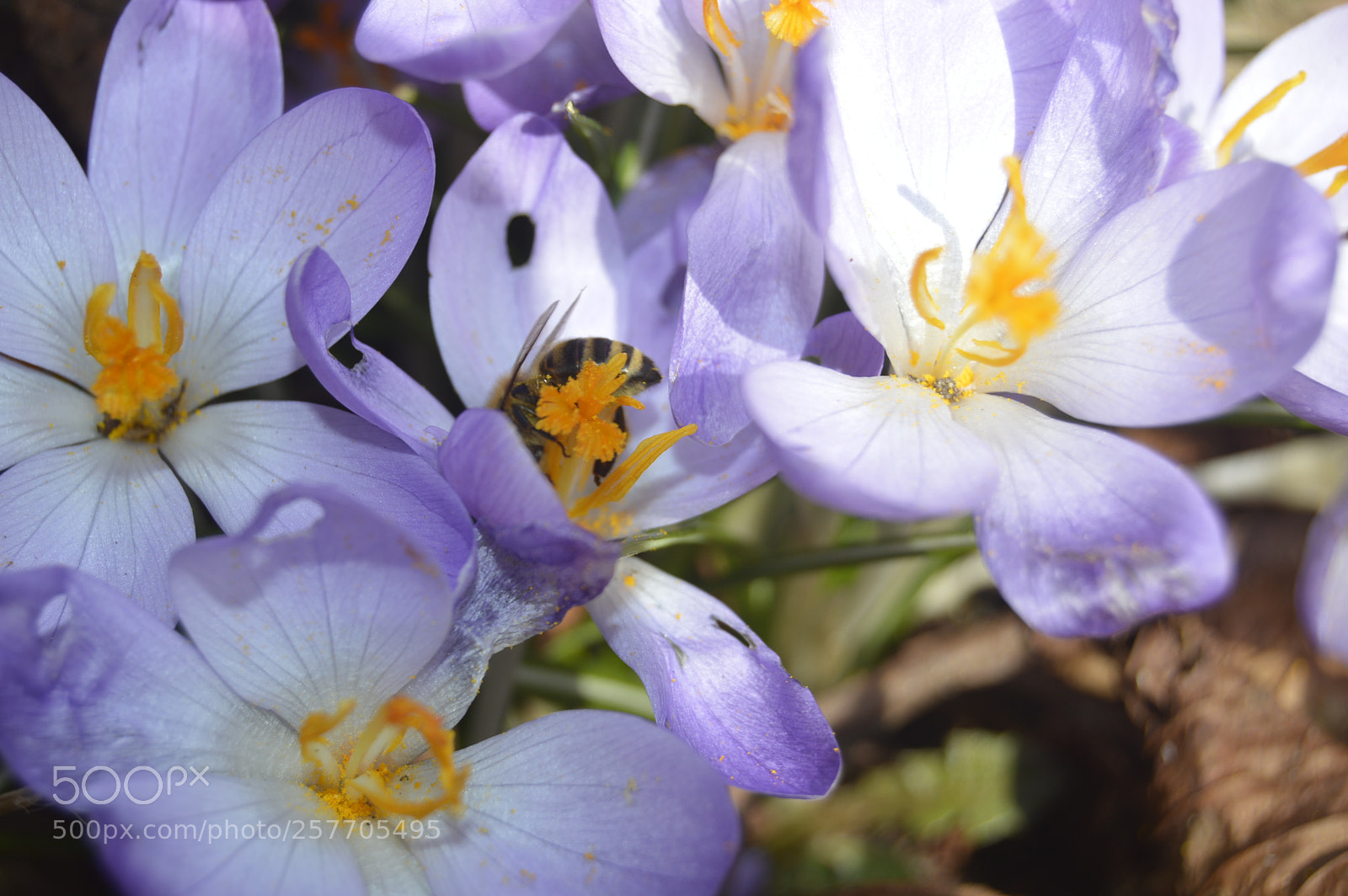 Nikon D3200 sample photo. Dansk netur photography