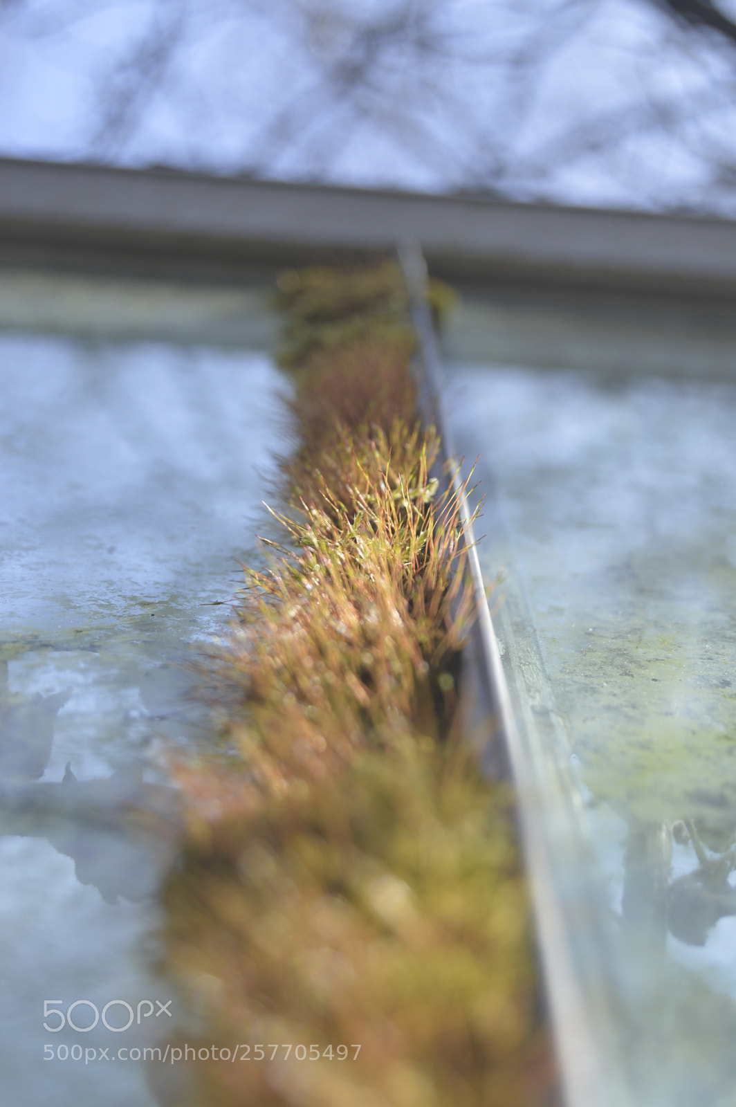 Nikon D3200 sample photo. Dansk netur photography