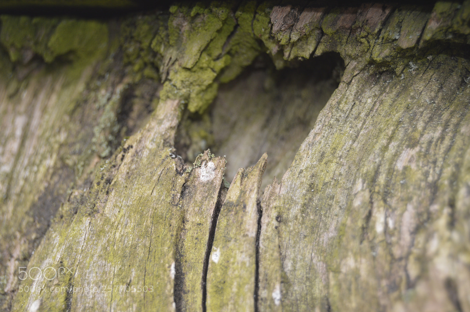 Nikon D3200 sample photo. Dansk netur photography