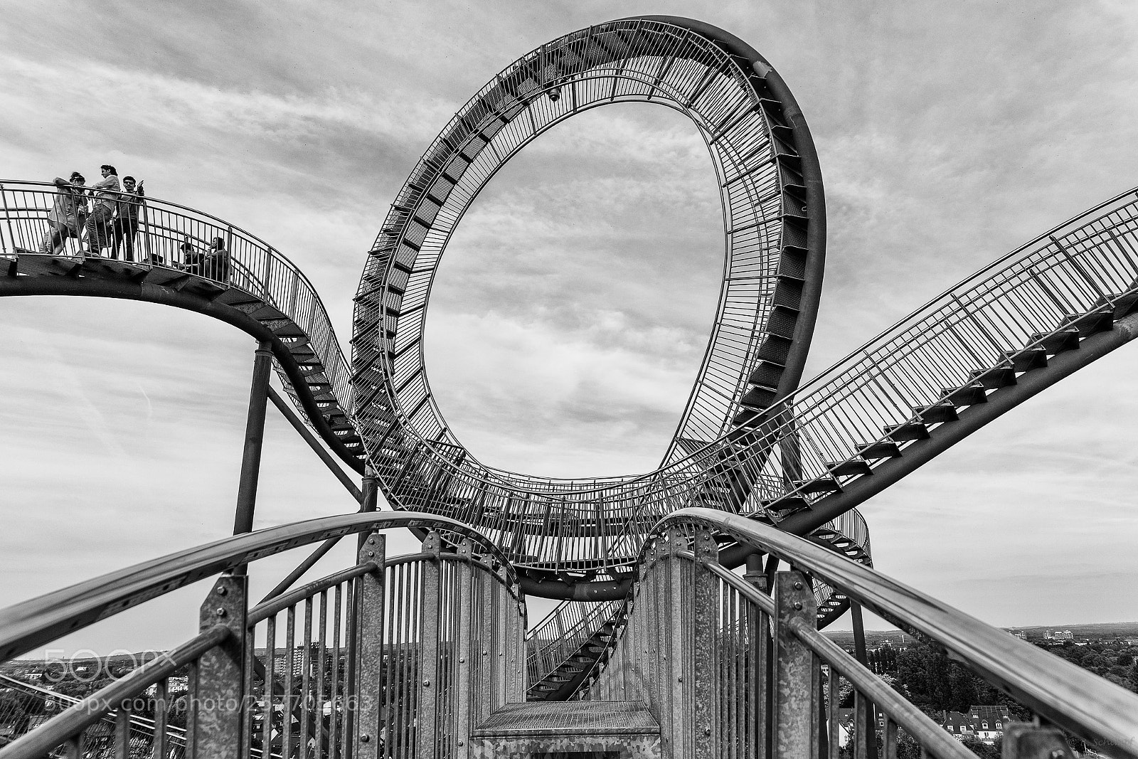 Canon EOS 6D Mark II sample photo. Tiger & turtle photography